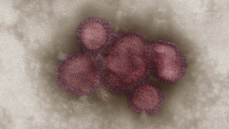 Germany's Flu Wave Begins: RKI Reports Rising Cases